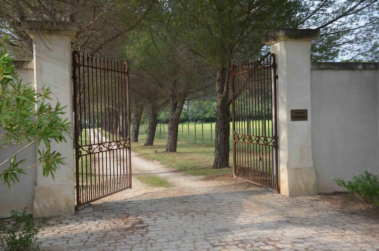 Domaine Shambala - Maison D'Hote En Provence - Piscine Chauffee Velaux エクステリア 写真