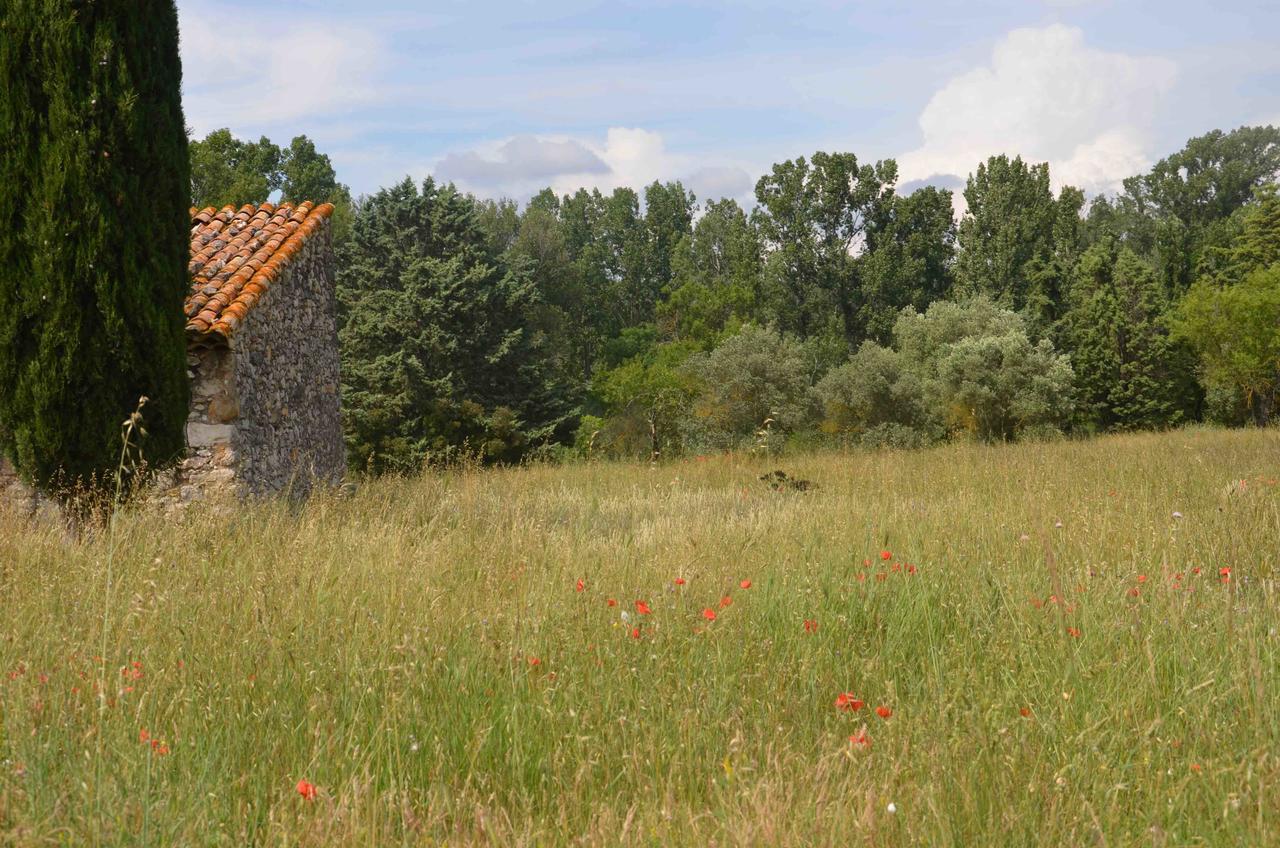 Domaine Shambala - Maison D'Hote En Provence - Piscine Chauffee Velaux エクステリア 写真
